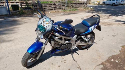 Samurai Suzuki SV650 design 08